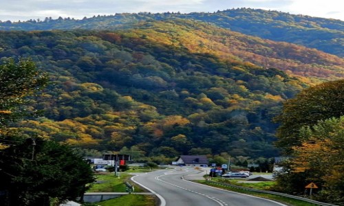 Zdjcie POLSKA / Beskid Sdecki / okolice Szczawnicy / Jesienna droga