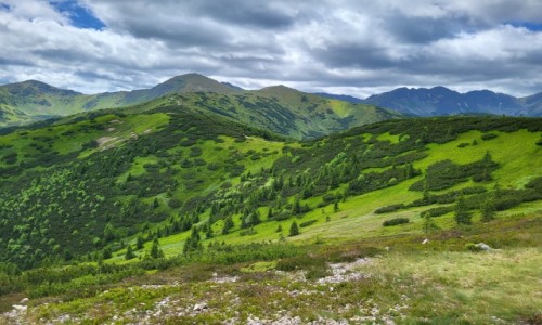 POLSKA / Tatry Zachodnie / Grze� / Widok na Wo�owiec i Rohacze