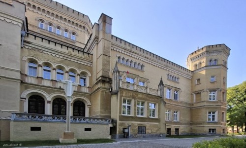 Zdjecie POLSKA / woj.kujawsko-pomorskie. / Jabonowo Pomorskie. / Paac Narzymskich.