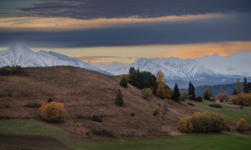 Zdjecie POLSKA / . / . / .