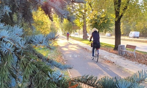 POLSKA / Wielkopolska / Pozna� / Droga dla rower�w