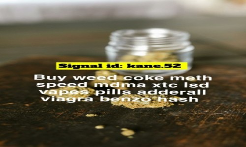 Zdjecie POLSKA / GDA�SK  / GDANK / Poland weed coke hash plug (telegram/BELMULT) supply 