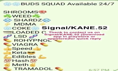 Zdjecie POLSKA / WARSAW / Warsaw  / Buy weed in Poland (signal : KANE.52) Cannabis coke md xtc 
