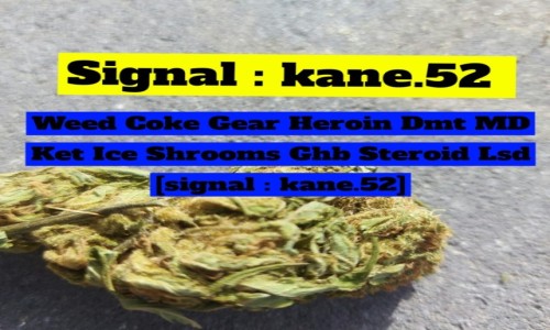 Zdjecie POLSKA / Krak�w  / Krak�w  / Buy weed in Poland (signal : KANE.52) Cannabis coke md xtc 