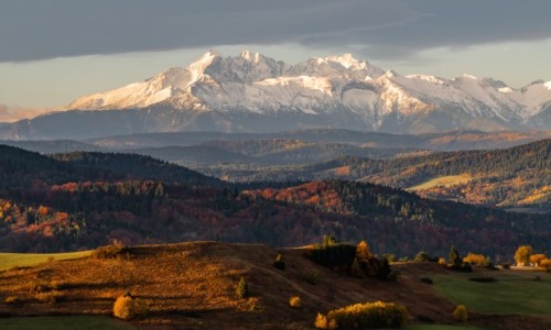 Zdjecie POLSKA / . / . / .