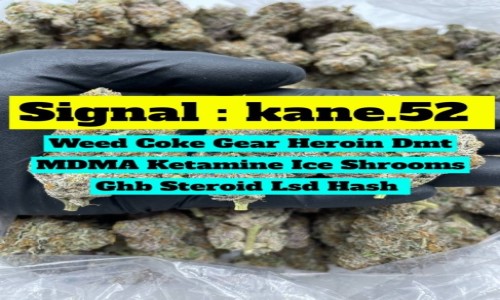 Zdjecie POLSKA / Białystok / Białystok / Buy weed in Poland (signal : KANE.52) Cannabis coke md xtc