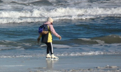 Zdjecie POLSKA / Pomorskie / Gdansk / �y�wiarstwo nad morzem