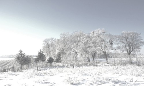 Zdjecie POLSKA / Pomorskie / Gdansk / Bia�o