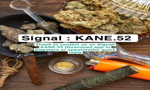 Zdj�cie POLSKA / Krak�w  / Krak�w  / Buy weed in Poland - Telegram : BELMULT 
