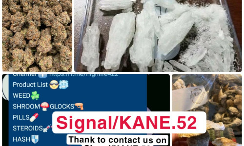 Zdjecie POLSKA / Katowice / Katowice / Buy weed in Poland (signal : KANE.52) Cannabis coke md xtc