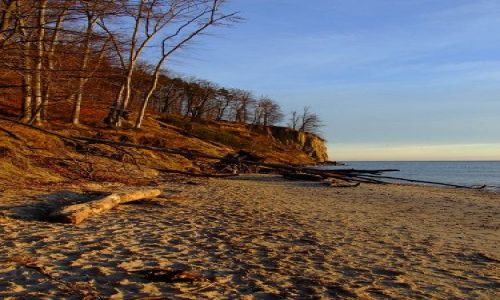 Zdjecie POLSKA / Pomorze / Gdynia Plaża Orłowo / Klif Orłowo