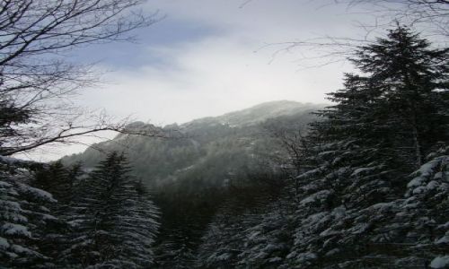 Zdjecie POLSKA / Tatry / Tatry  / Blisko Boga