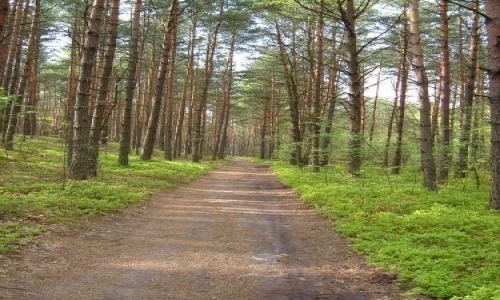 Zdjecie POLSKA / mazowsze / 30 km od centrum stolicy / Nie wszystkie szlaki są takie