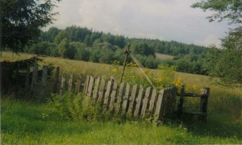 Zdjecie POLSKA / Podlasie / Puszcza Knyszyska / Kapliczka na ce