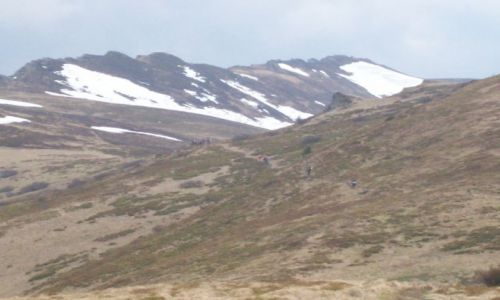 Zdjecie POLSKA / Wołosate / Polska / Bieszczady