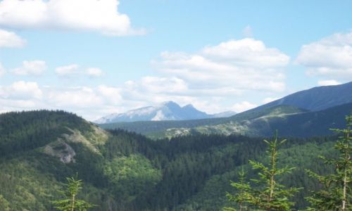 Zdjecie POLSKA / zakopane / polska / Tatry