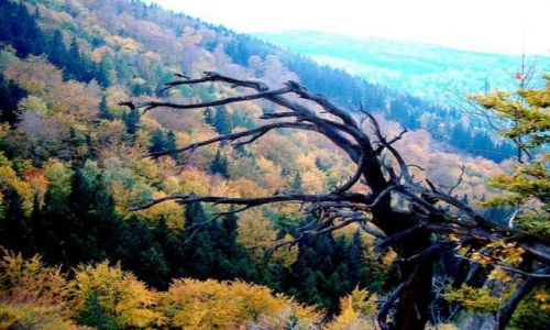 Zdjęcie POLSKA / Dolny Śląsk / Chojnik / Karkonosze - widok z goóry Chojnik