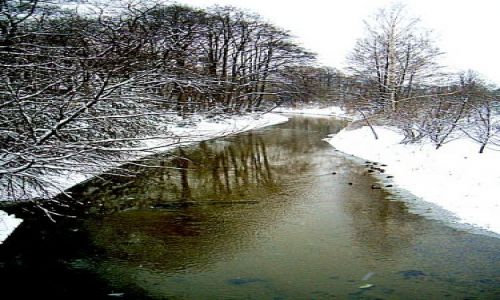 Zdjecie POLSKA / Dolny Śląsk / Jelenia Góra / Cieplice