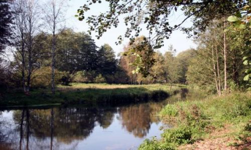 Zdjcie POLSKA / w drodze na mazury / koo Wielbarku / jesien