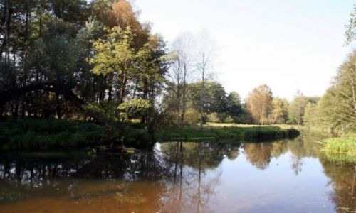 Zdjcie POLSKA / w drodze na mazury / koo Wielbarku / jesien