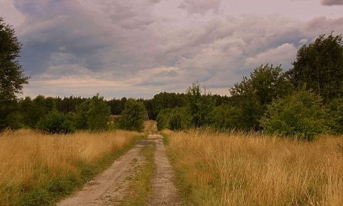 Zdjecie POLSKA / woj.łódzkie / polska wieś / Drogi i dróżki