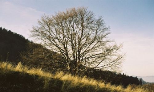 Zdj�cie POLSKA / Ma�e Pieniny / nad Jaworkami / jesie� w g�rach