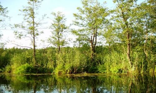 Zdjęcie POLSKA / Podlasie / Jezioro Rospuda / Rospuda 1