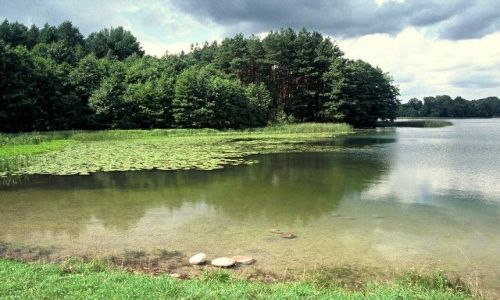 Zdjęcie POLSKA / Suwalszczyzna / jez. Szurpiły / Jezioro porosłe legendami