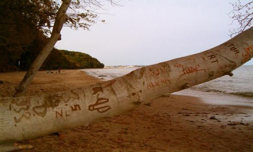 Zdjecie POLSKA / brak / Gdynia / Znaki