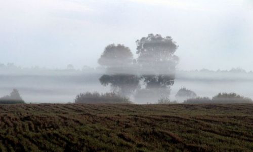 Zdjecie POLSKA / Podlasie / Kzki nad Bugiem / Podlasie 10