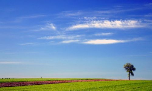 Zdjecie POLSKA / Podlasie / Oolice Lipniaku / Podlasie 11