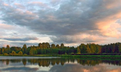 Zdjęcie POLSKA / Podlasie / MOSCIBRODY / Podlase 12