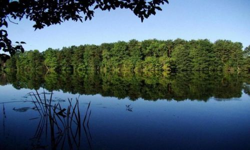 Zdjcie POLSKA / kujawsko -pomorski / okolice Bydgoszczy / poranek na rybach 