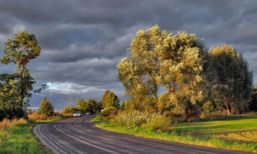 Zdjecie POLSKA / Podlasie / Droga do Krzelina / Podlasie 11