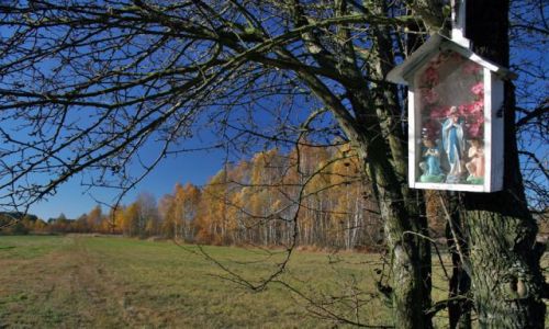 Zdjecie POLSKA / Podlasie / okolice Skórca k.Siedlec / Podlasie14