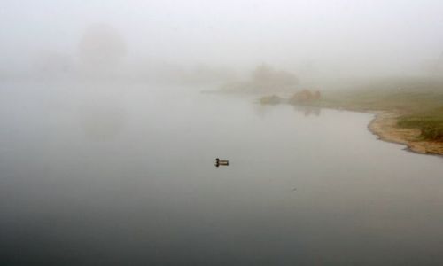 Zdjęcie POLSKA / brak / Borsuki n.BUGIEM / Podlasie  05