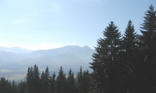 Zdjecie POLSKA / tatry / Zakopane / Góry i lasy