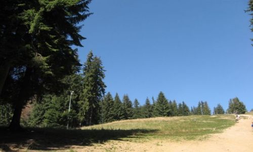 Zdjecie POLSKA / tatry / Zakopane / Góry i lasy