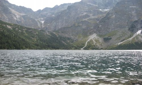 Zdjecie POLSKA / tatry / Zakopane / Góry i lasy