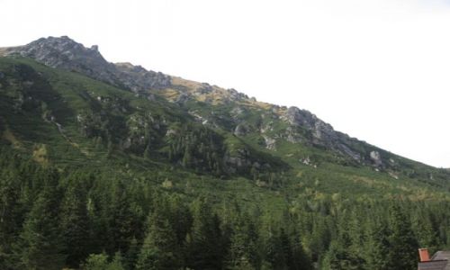 Zdjecie POLSKA / tatry / Zakopane / Góry i lasy