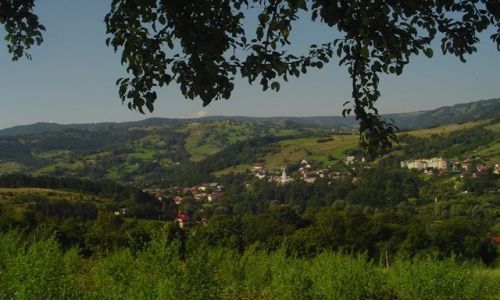 Zdjecie POLSKA / Beskidy / omnica / w drodze na abowska Hale