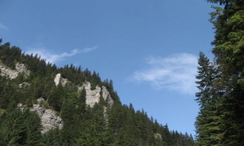 Zdjecie POLSKA / tatry / Zakopane / Góry i lasy