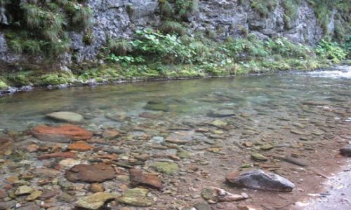 Zdjecie POLSKA / tatry / Zakopane / Góry i lasy