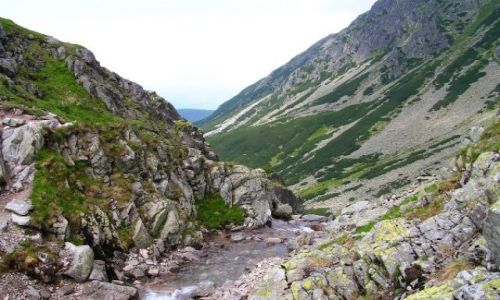 Zdjecie POLSKA / TATRY / Zakopane i okolice / góry