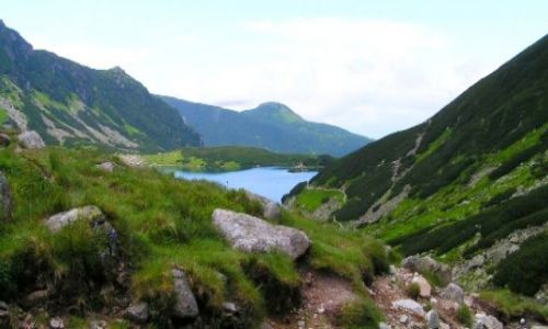 Zdjecie POLSKA / TATRY / Zakopane i okolice / góry