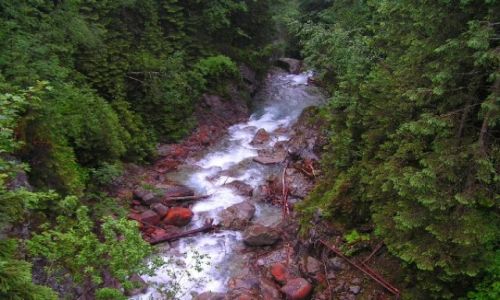 Zdjęcie POLSKA / TATRY / Zakopane i okolice / góry