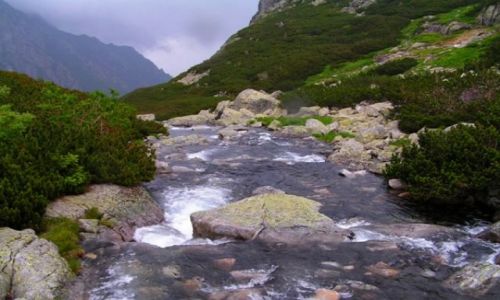 Zdjecie POLSKA / TATRY / Zakopane i okolice / góry