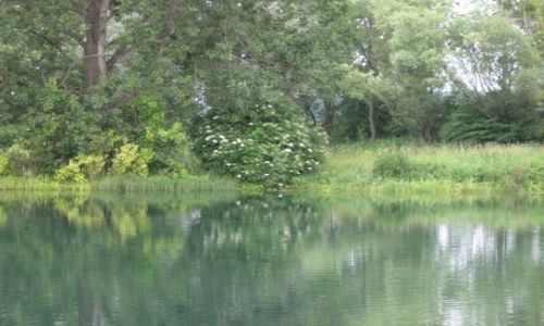Zdjecie POLSKA / ślask Opolski / Krapkowice i okolice / lato i rower