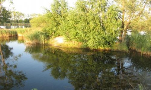 Zdjecie POLSKA / ślask Opolski / Krapkowice i okolice / lato i rower
