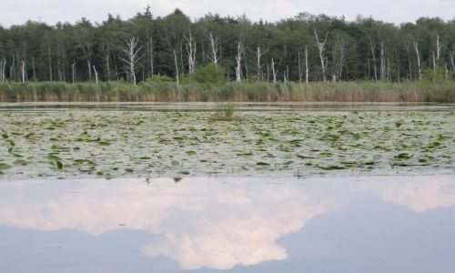Zdjęcie POLSKA / brak / Lagow / ...